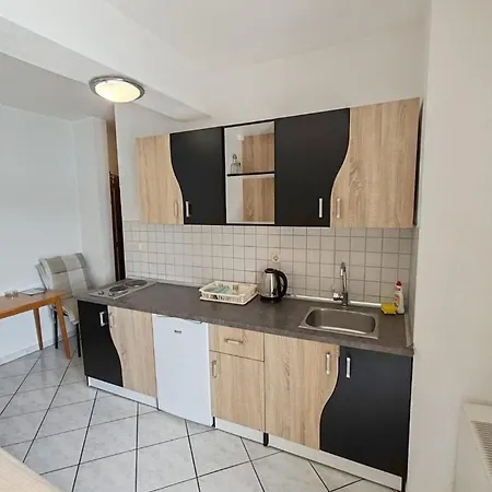 Raguz Sa Privatnom Plazom I Garazom 3*